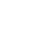 tysapo icon
