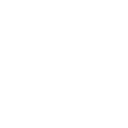 tysapo icon