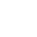 tysapo icon