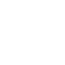 tysapo icon