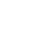 tysapo icon